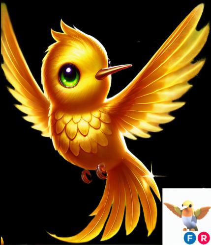 ( FR ) Golden Hummingbird