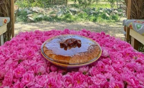 اقضي يوماً كاملاً في مدينة الورد الطائف