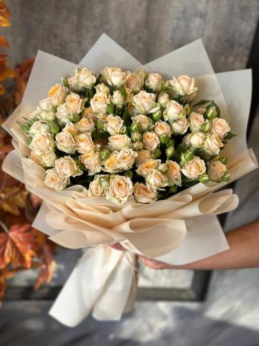 باقة الاناقة