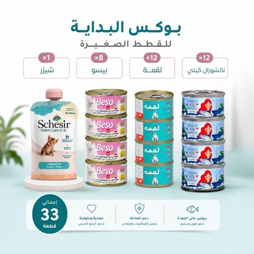 بوكس البداية للقطط الصغيرة