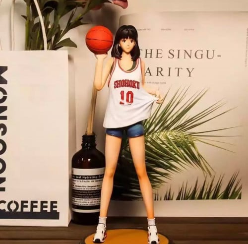 فيقر هاروكو | Slam dunk