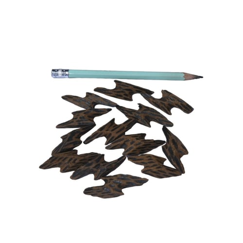 كمبودي تايقر ملكي