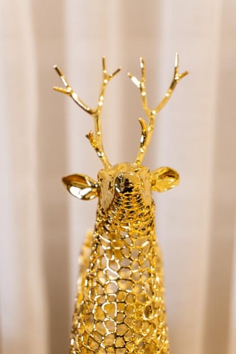 WB-H1803L+S تحفه