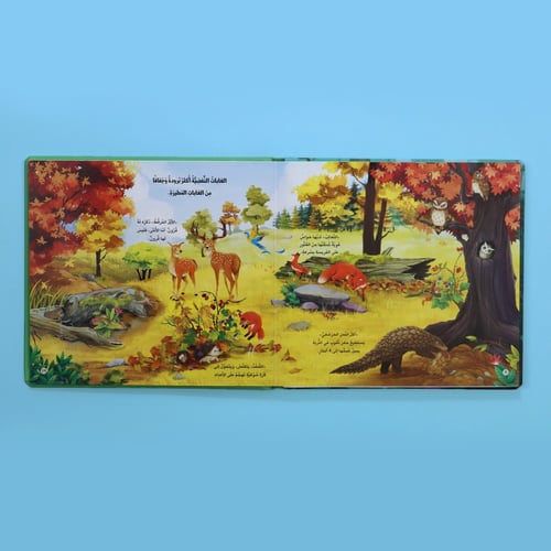 مملكة الحيوان:الغابة