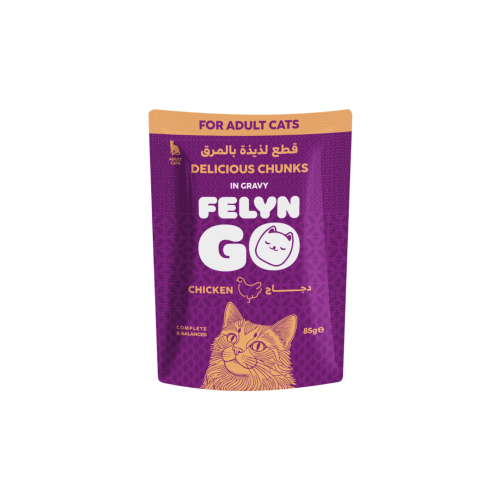 اظرف الدجاج بالمرق من شركة Felyn Go