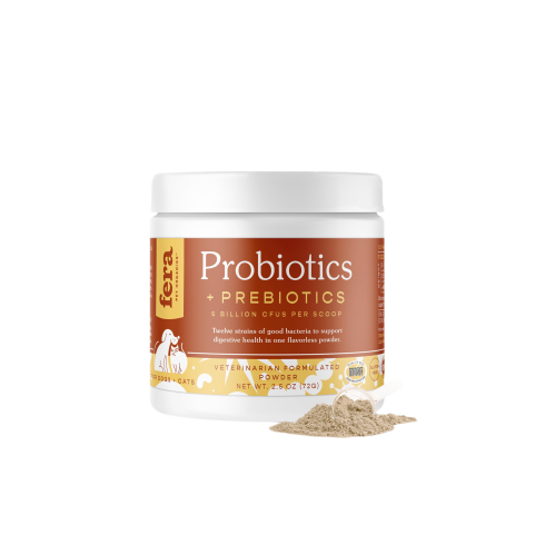 مكمل البروبايوتك الطبيعي لصحة الجهاز الهضمي من شرك...