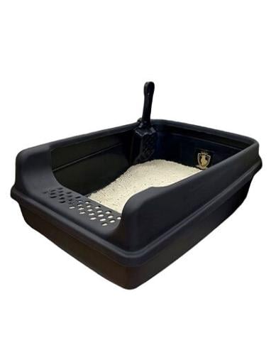حوض رمل اسود مع مغرفة كات رويال