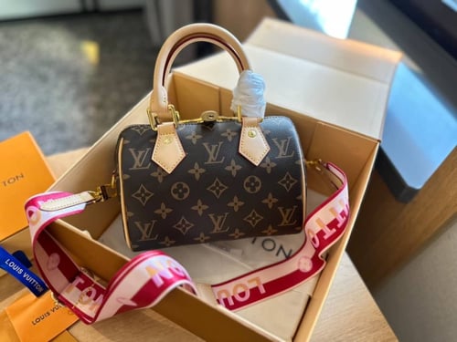 شنط لويس ڤيتون LV