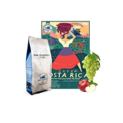 Roasted Coffee Costa Rica Sonora Rojo 500gm
