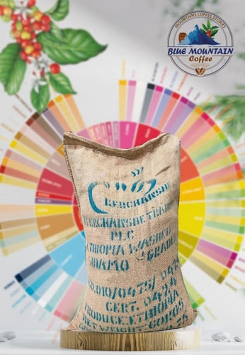 Green Coffee Ethiopia Sidamo