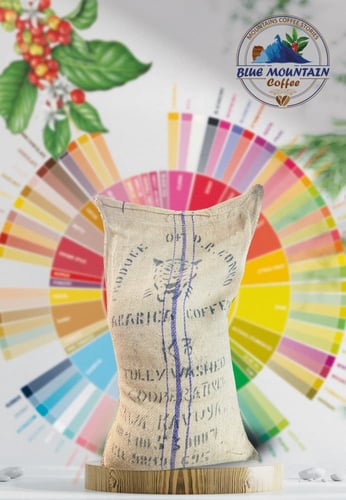 Green Coffee Congo Kivu