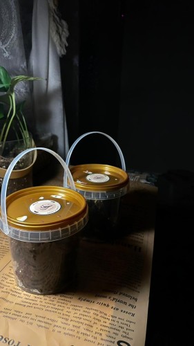 براونيز كلاسيك