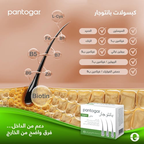 بانتوغار® كبسولات نباتية