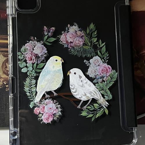 كفر ايباد طيور