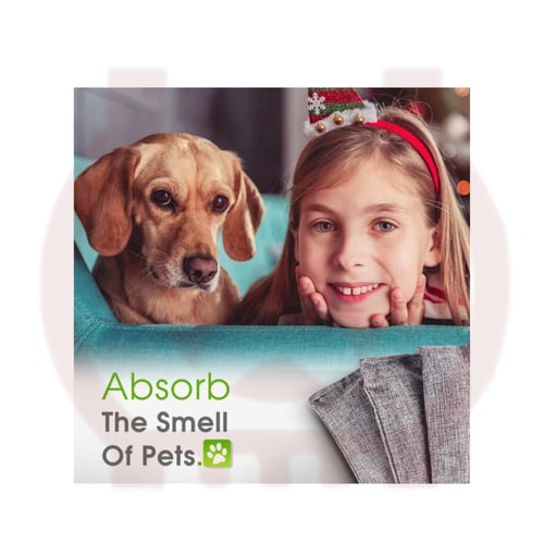 منقي جو ومزيل الروائح السيارة بفحم الخيزران النشط