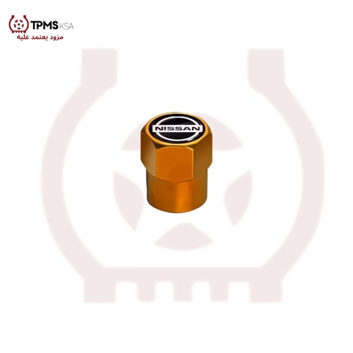 أغطية بلوف الهواء بشعار نيسان