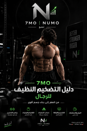 7MO | دليل التضخيم النظيف