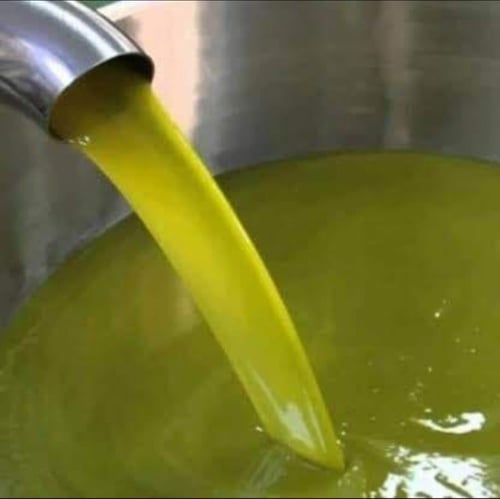 زيت زيتون أردني 16 لتر انتاج 2025 - 2026 م