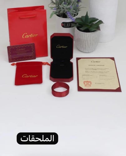 طقم كارتير فضي( سلسال+اسوره+ حلق)