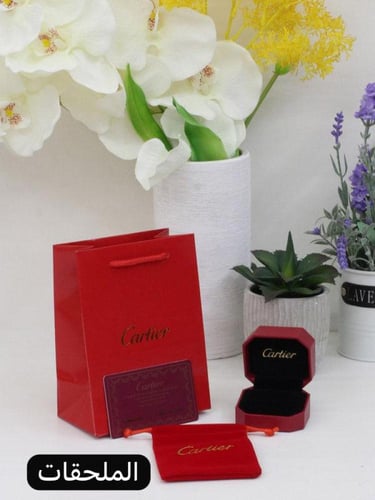 خاتم كارتير رجالي فضي مع الملحقات