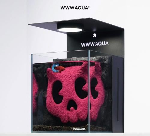 Bonbobo aquarium 20x22x23cm