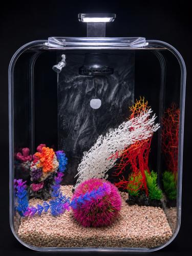 aquarium with led light and fillter 35x28x45cm
