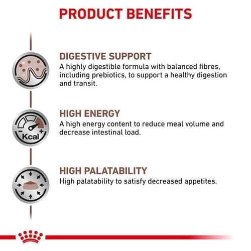 رويال كانين طعام جاف بيطري للقطط لدعم الجهاز الهضم...