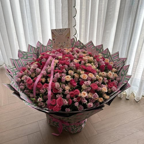 Super Mix Baby Rose