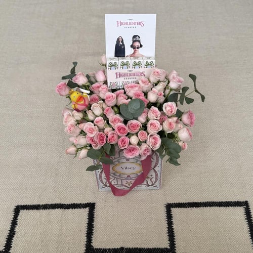 THE HIGHLIGHTERS DIARIES