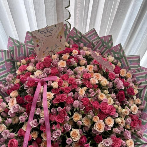 Super Mix Baby Rose