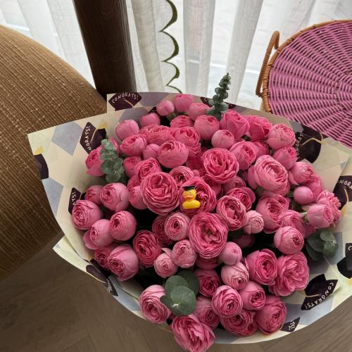 Peony Grad