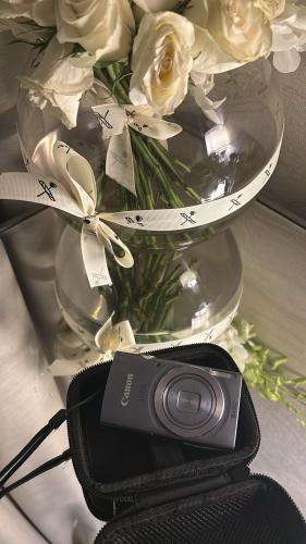 Canon IXUS (ixy) 160 in grey