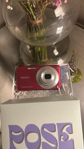 Sony cybershot in PINK