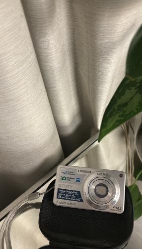 sony cybershot in silver
