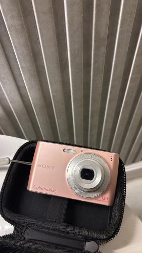 Sony Cybershot in pink