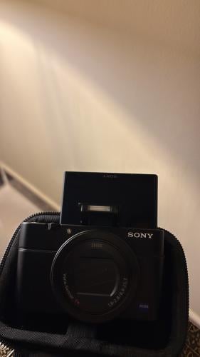 Sony cybershot rx100