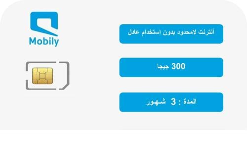 باقة بيانات 300 جيجا 3 شهور