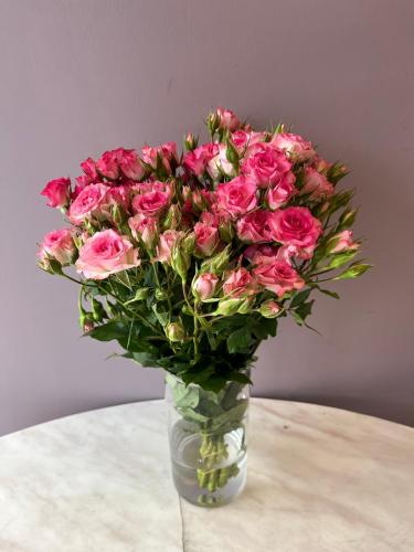 سبراي روز - Spray Rose Double color