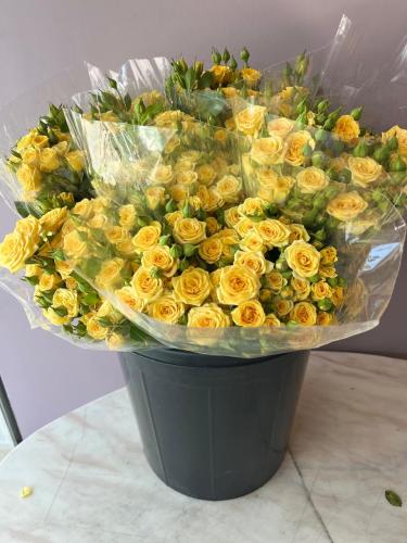 سبري روز اصفر - Spray Rose Yellw