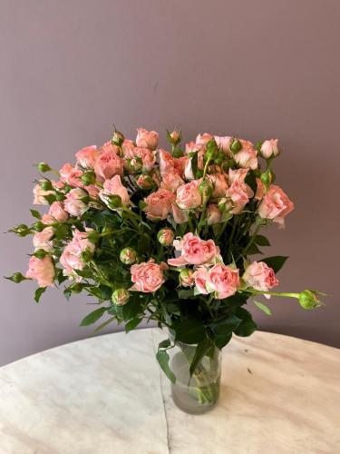 جاردن سبراي روز -Garden Spray Rose Trendsetter
