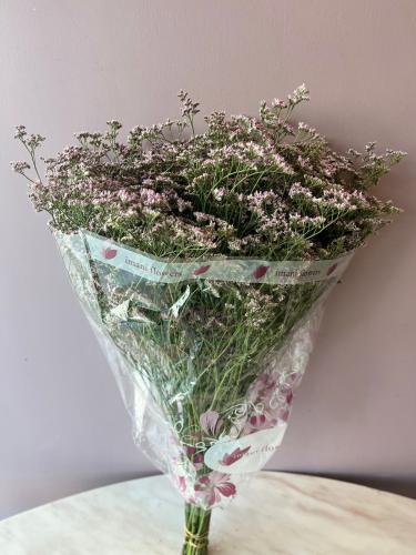 ليمونيوم بنك - Limonium Oshi Pink