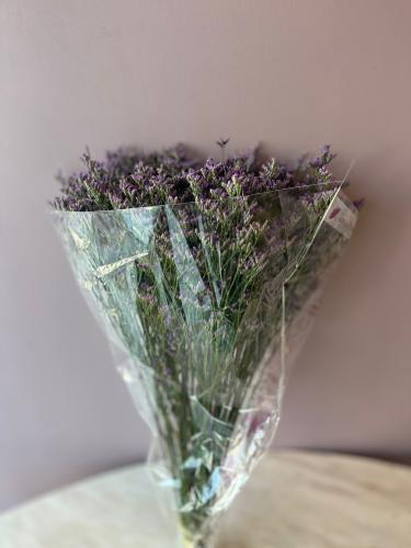ليمونيوم موف - Limonium Safora Purple