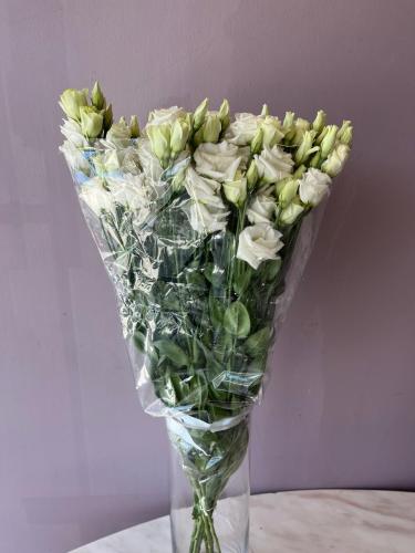 ليسانتوس ابيض- Lisianthus White