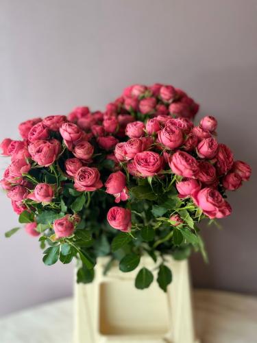 سبراي روز جاردن-Garden Spray Rose Trendsetter
