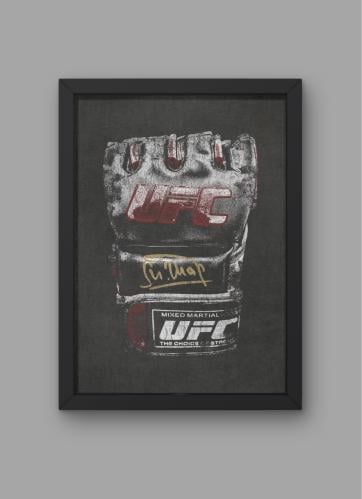 glove ufc
