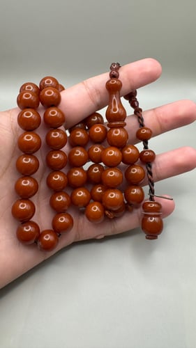سندلوس بنيB5002