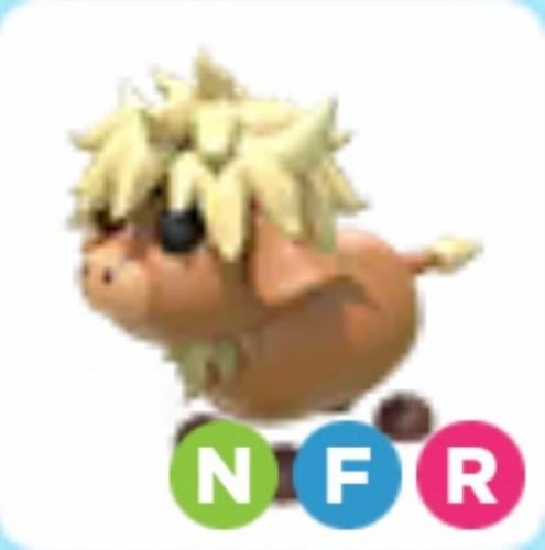 NFR HIGHLAND COW