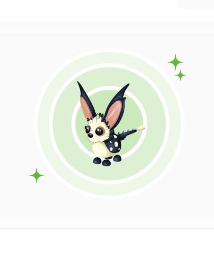 Water Opossum NFR