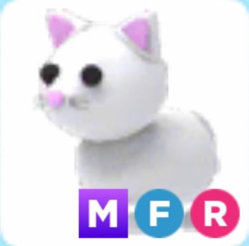 MFR Snow Cat