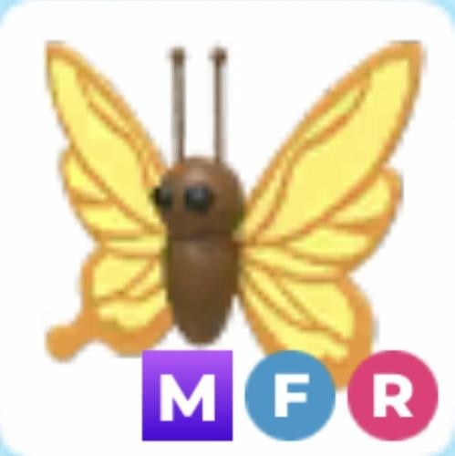 MFR Yellow Butterfly